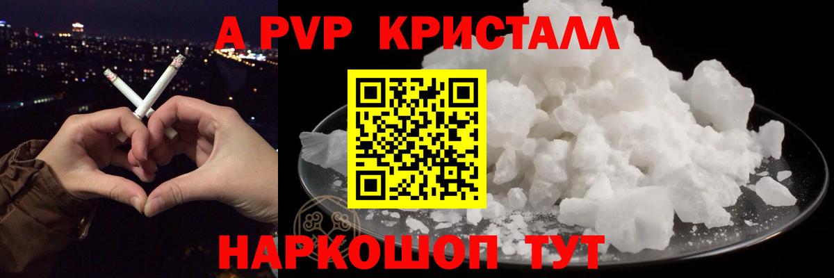 APVP СК Новодвинск