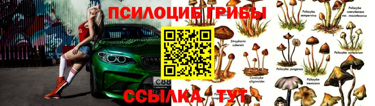 Псилоцибиновые грибы GOLDEN TEACHER Новодвинск